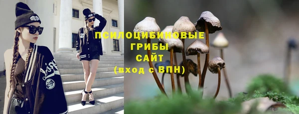 jwh Бородино
